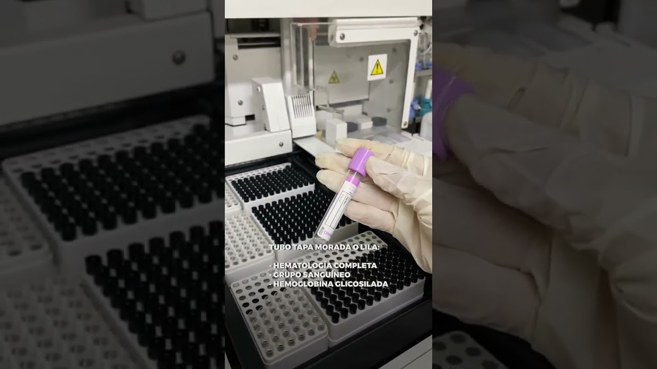 ¿Para qué sirve cada tubo que tenemos en el laboratorio?