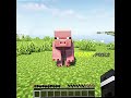 Grox In His PRIME 😍🔥 #shorts #minecraft #Grox #GroxPrime #gaming #viral #youtubeshorts