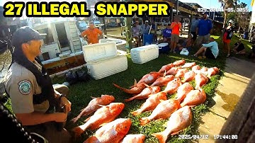 15 Adults Caught With 27 Illegal Red Snapper in Texas