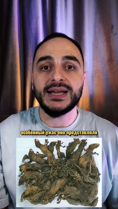Крысиный король - YouTube