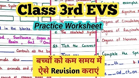 EVS Worksheet for Class 3 | Class 3 EVS | Class 3 EVS Worksheet @PeehuandRudraCorner