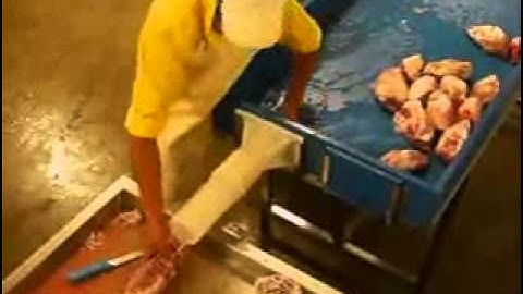 TomStingNet com meat tying machine  ficeleuses automatique