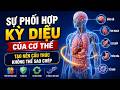 Sự Phối Hợp Kỳ Diệu Của Cơ Thể