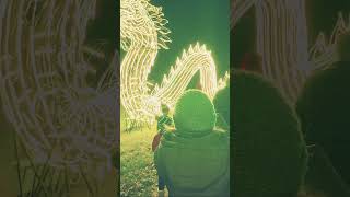 Things low-key more curvy than bro: #bromemes #funny #youtubeplayables