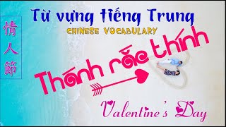 Tiếng Trung theo chủ đề  LỄ TÌNH NHÂN/ Chinese Vocabulary by topic VALENTINE DAY/ #情人節 screenshot 3