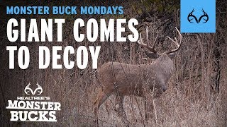 Kansas Buck Comes to DECOY | Phillip Vanderpool | Monster Bucks Mondays