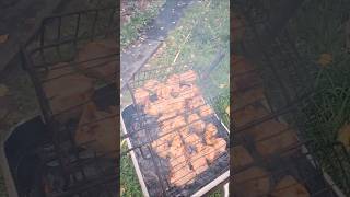 Еда шашлык из Мяса #еда #шашлык #мясо #shorts