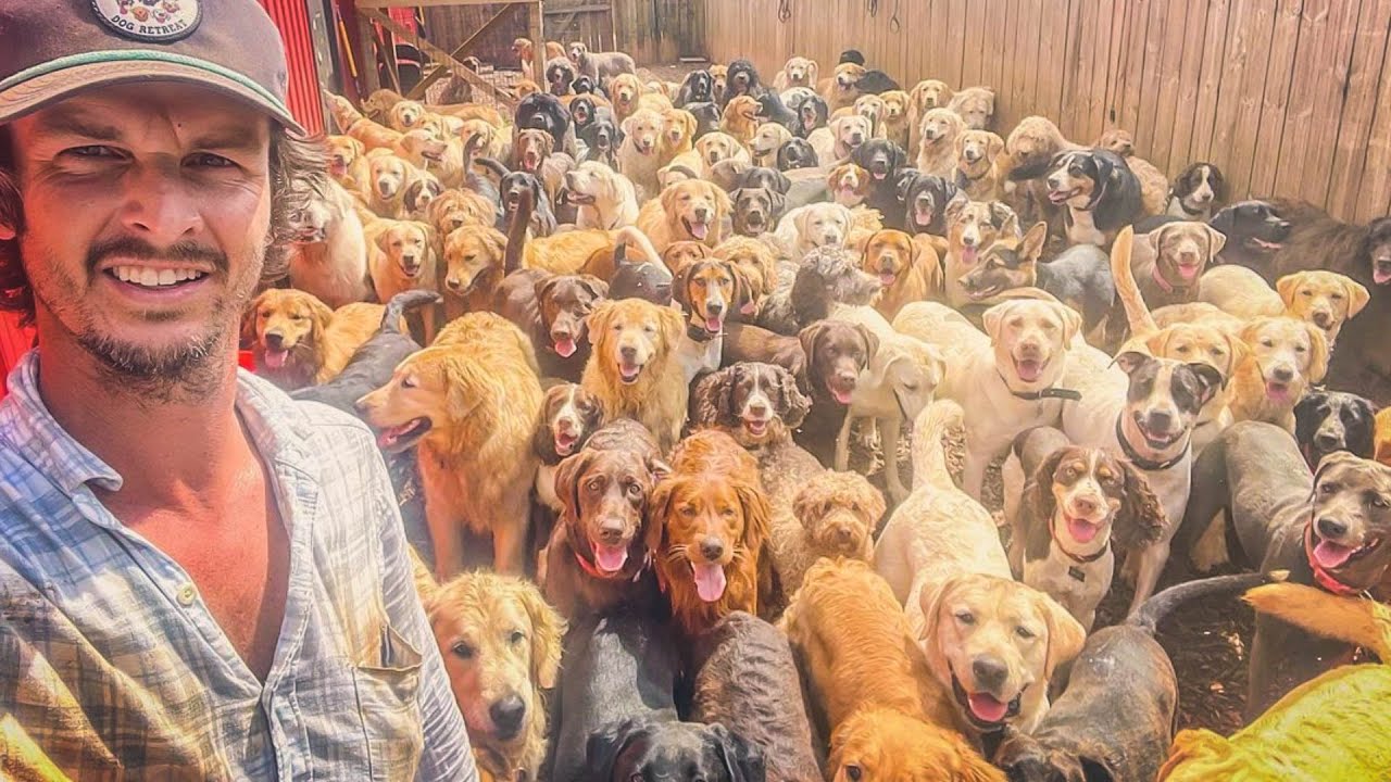 These Are All Dog Breeds That Currently Exist