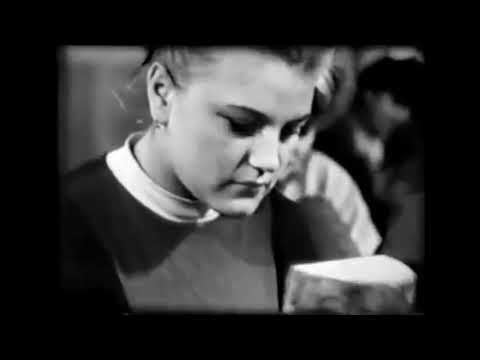 Древесина и ее