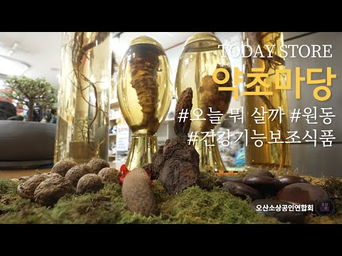 오산 건강 기능 식품 매장 추천! 오산 대원로에 위치한 약초마당! 선물 추천! 심마니가 직접 자연에서 가져온 건강에 좋은 다양한 약초들과 노니청 추천드려요! - 오산시소상공인연합회