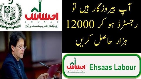 How to apply Ehsaas Labour Program - Ehsaas Labour Registration - Chota Imdadi Karobar