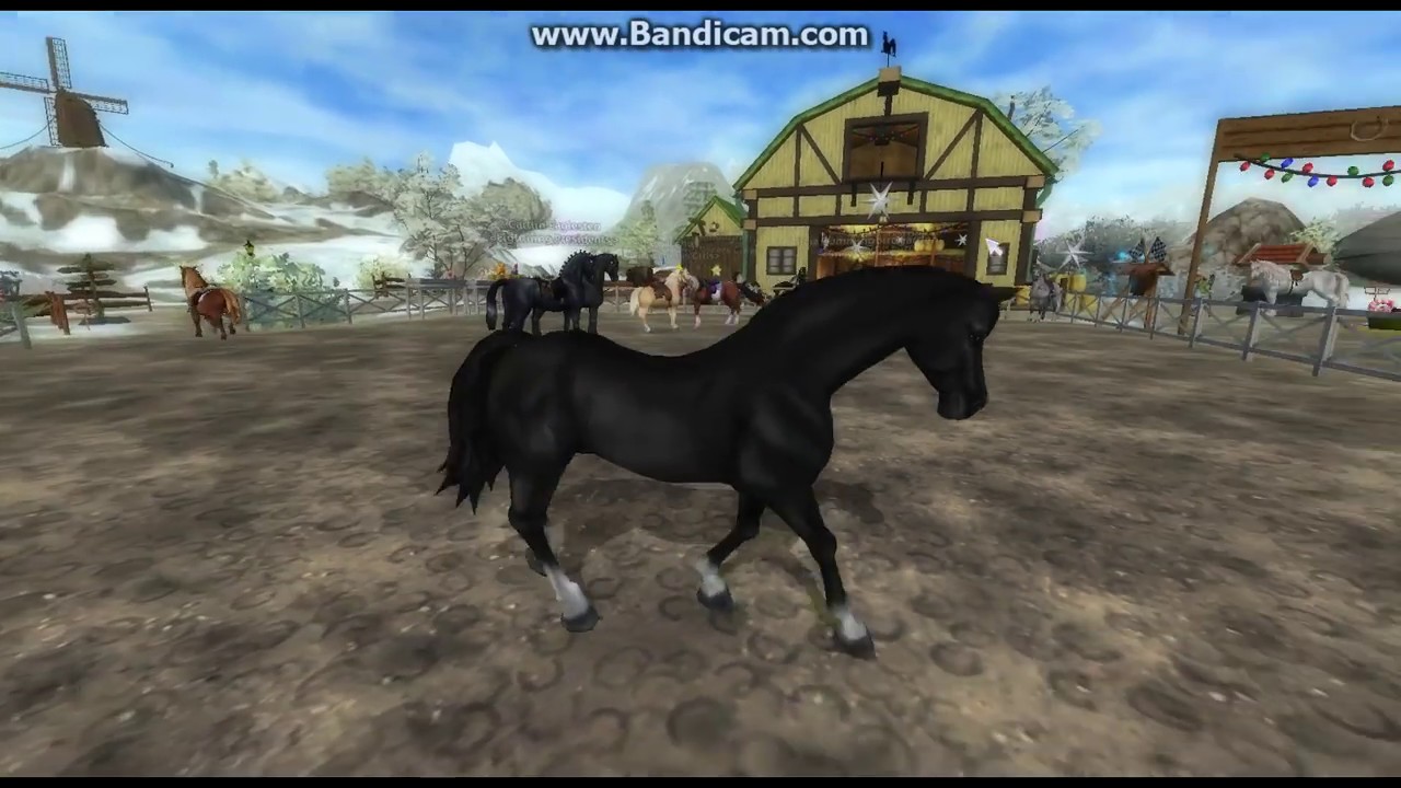 Star Stable Wild Horse Glitch YouTube