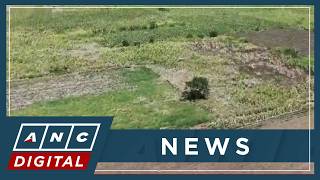 First Gen breaks ground for 54-megawatt solar plant in Batangas | ANC
