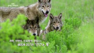 180610 글로벌다큐멘터리 예고 ㅣ KBS방송