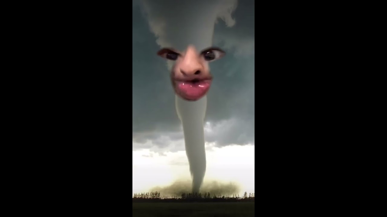 How To Show The Tornado Who S Boss Shorts