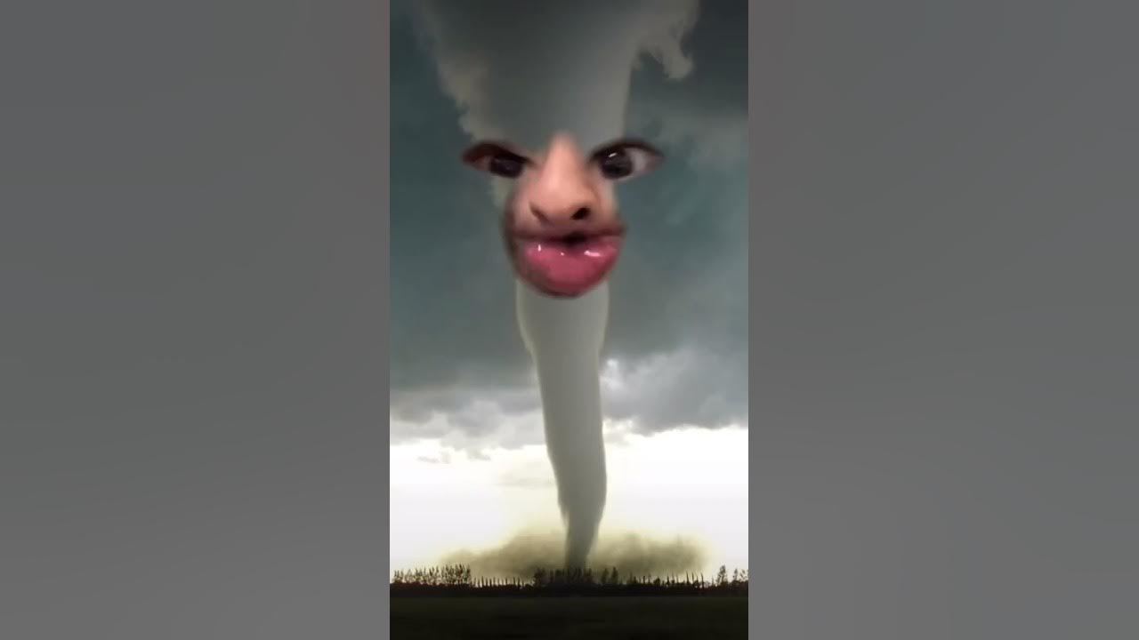 How to show the tornado who’s boss #shorts