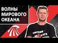 Зелёненькое - смеётся. Зачем работающему в поле сапкой высшее образование. Чаплыга без вопросов