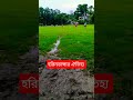 দেশি ফুটবল টুর্নামেন্ট