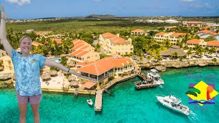 Buddy Dive Resort Bonaire Tour: The Blue Horizon Diving Tour