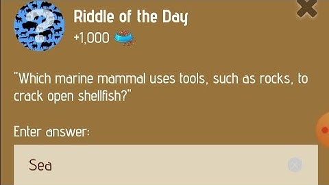 31 December Zoo Riddle of the day code | Riddle of the day code | #zooriddlecode | #khpalwakurmar