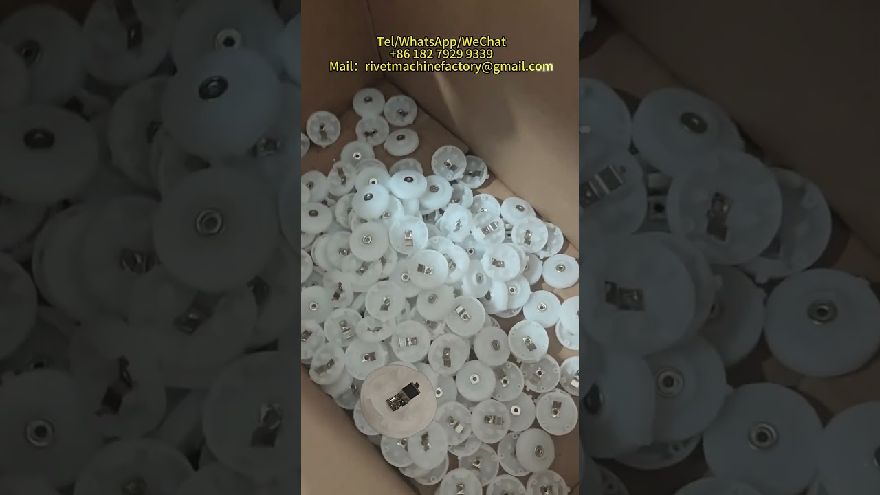 High Precision Electrical Contact Riveting Machine  Reliable Riveting Solution in Serbia