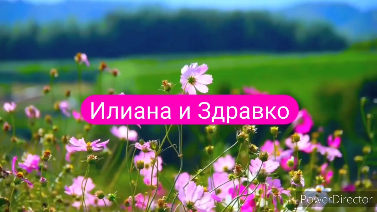 орк. Шеки Бенд - Моме моме и Асан ага 🎶