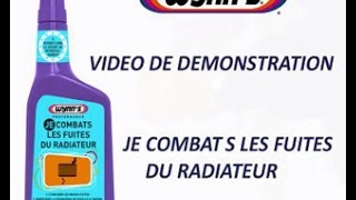 JentretiensMonAuto.com - Je combats les fuites de radiateur by Wynn's