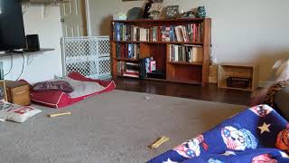 Lorelei playing