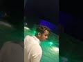 Pool party 🥳 #swimming #swimmingpool #viralvideo #shortsvideo #reels #shorts #party #nightparty