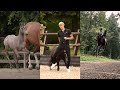 Horse TikToks That Went Viral! #6