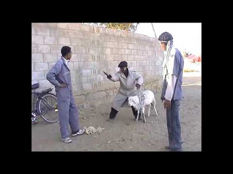 Qemem hiwet 2007