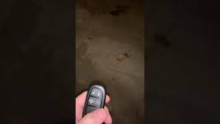 ram 1500 remote start key fob not detected