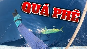 MÙA CÂU CÁ - TẬP 2: CÁ ĂN CÂU LIÊN TỤC NHƯNG ĂN MỒI RẤT KHÔN // FISHING MAHI MAHI