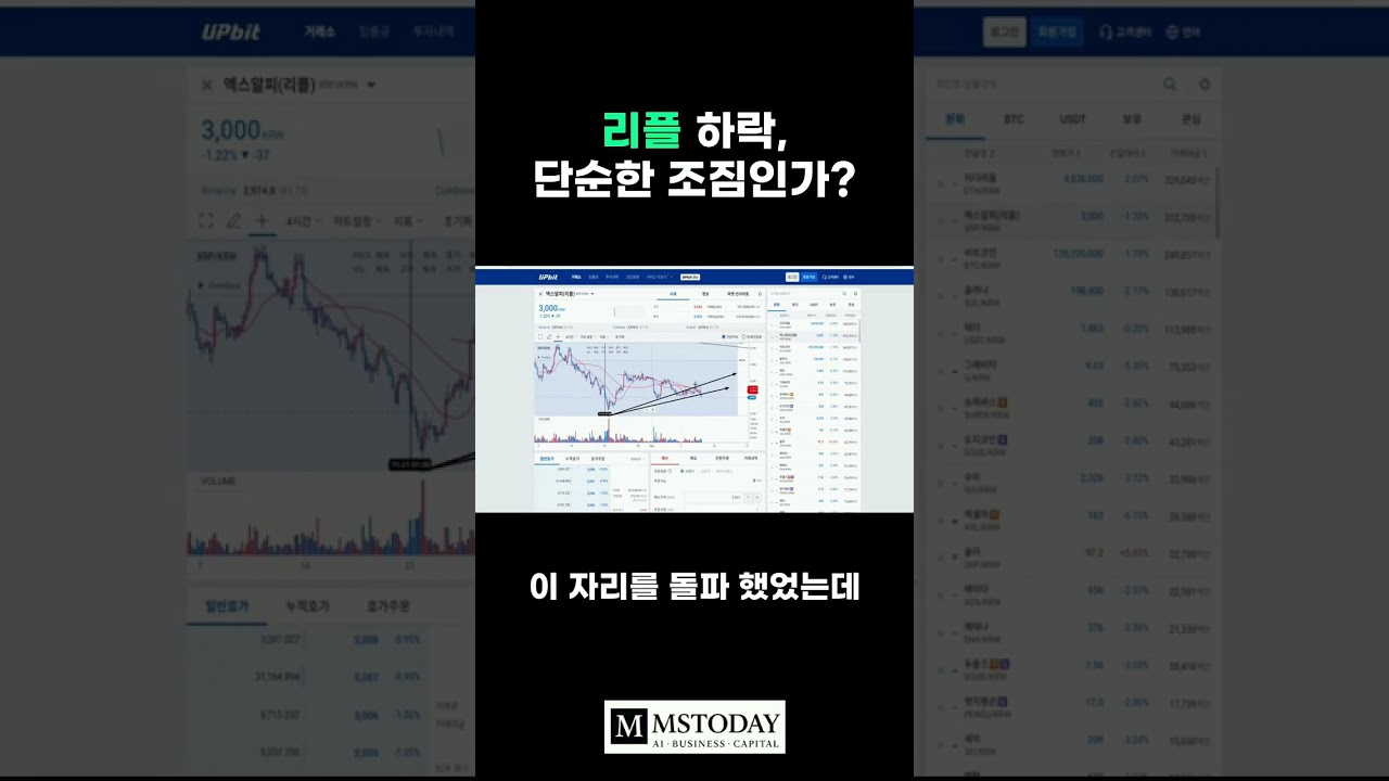 머니쇼츠-영상] 리플 하락 단순한 조짐인가? - MS TODAY