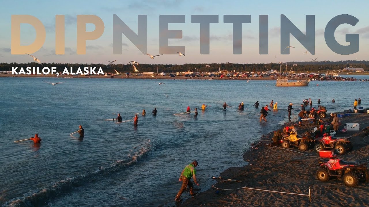 Dipnetting for Salmon  Kasilof Alaska 