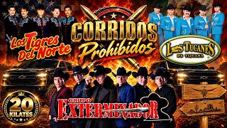 Tucanes, Tigres y Exterminador – Puros Corridos Pesados ? | Grandes Éxitos