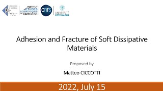 Adhesion and Fracture of Soft Dissipative Materials | Matteo Ciccoti screenshot 3