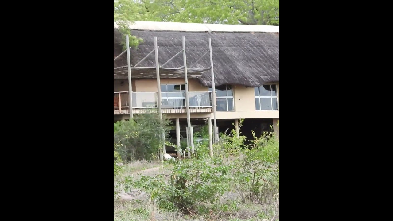 Boulders Bush Lodge from outside