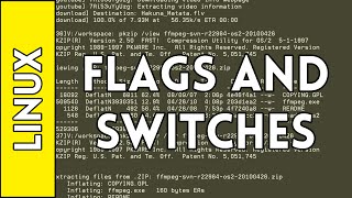 Flags, Switches, and Manual Pages - Introduction to Linux for Absolute Beginners #6