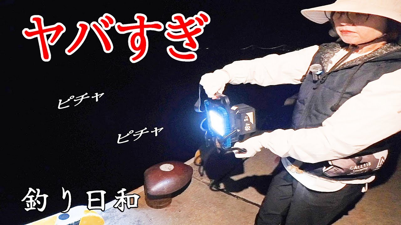 釣りが好きです。 ZEXUS ZX-195】遊べる釣り用ヘッドライト。ネックベルトが快適