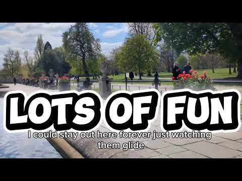 Picnic and Paddle Boating in Hyde park #londoners #hydeparklondon #london