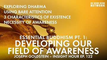 Essential Buddhism Part 1 - Developing Our Field of Awareness w/ Joseph Goldstein - Insight Hour 122