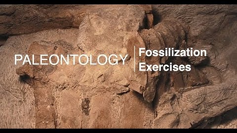 GSENM Paleontology Video: Fossilization Exercises
