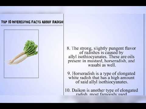 What Is Daikon Radish, and What Is It Used For?