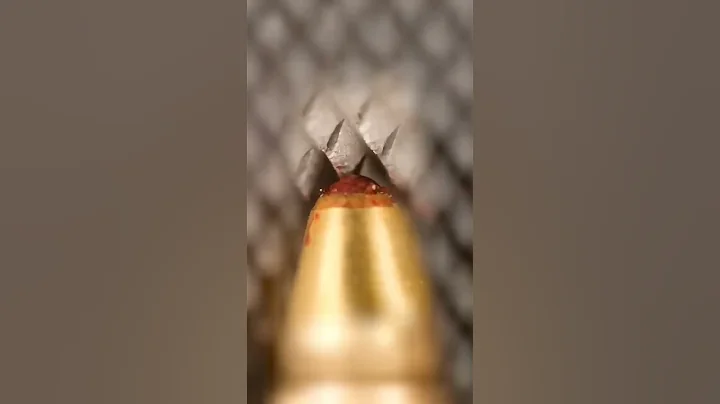 Pen and File Close-Up