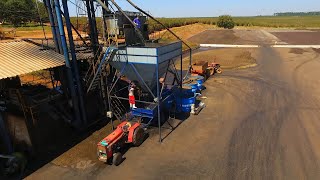 Benefício Úmido - Mc Miaki Coffee