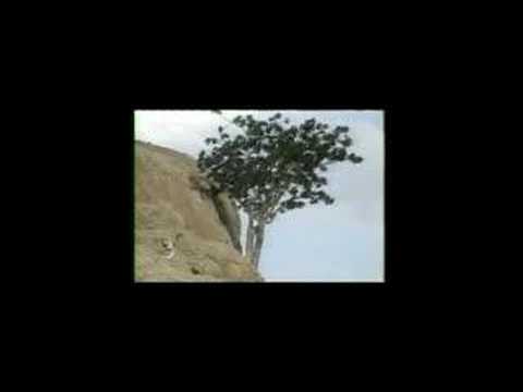 Product of Somaliland - Beeyoda iyo Meydiga Sanaag video editing software free