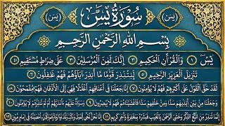 Surah Yaseen Calming Tilawat || Ep 021 || Surah Yasin Full || Beautiful Quran Recitation