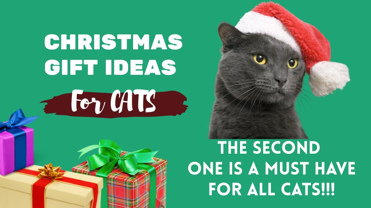 Cat Christmas Gift Ideas The Second One Is AWESOME christmascats cat-christmas-gift-ideas-the-second-one-is-awesome-christmascats