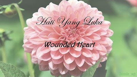 Hati Yang Luka (Wounded Heart) - Lyrics Indo/English [Betharia Sonata]